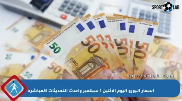 أسعار اليورو اليوم الاثنين 1 سبتمبر وأحدث التحديثات المباشرة